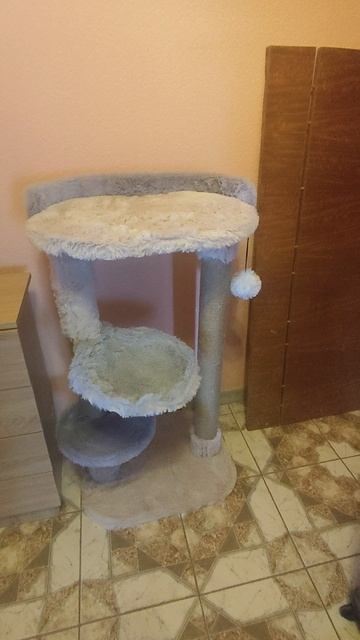 Когтеточка