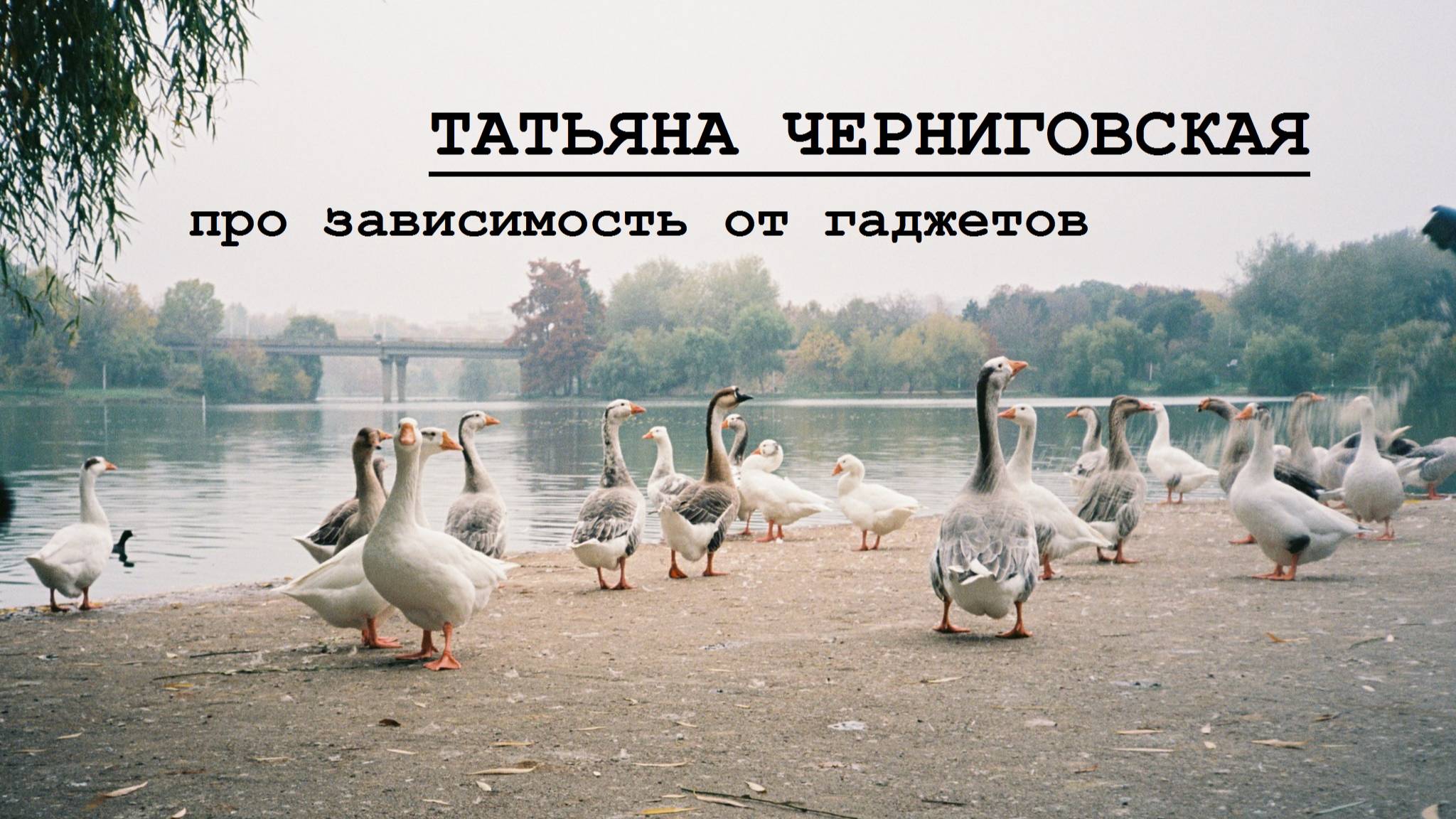 Татьяна Черниговская про зависимость от гаджетов