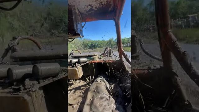 --адреналина зависимые.