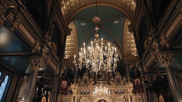 19414614-uhd_3840_2160_25fps