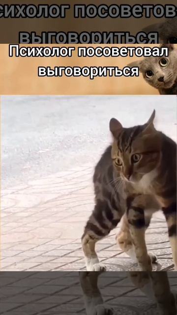 ...😂....