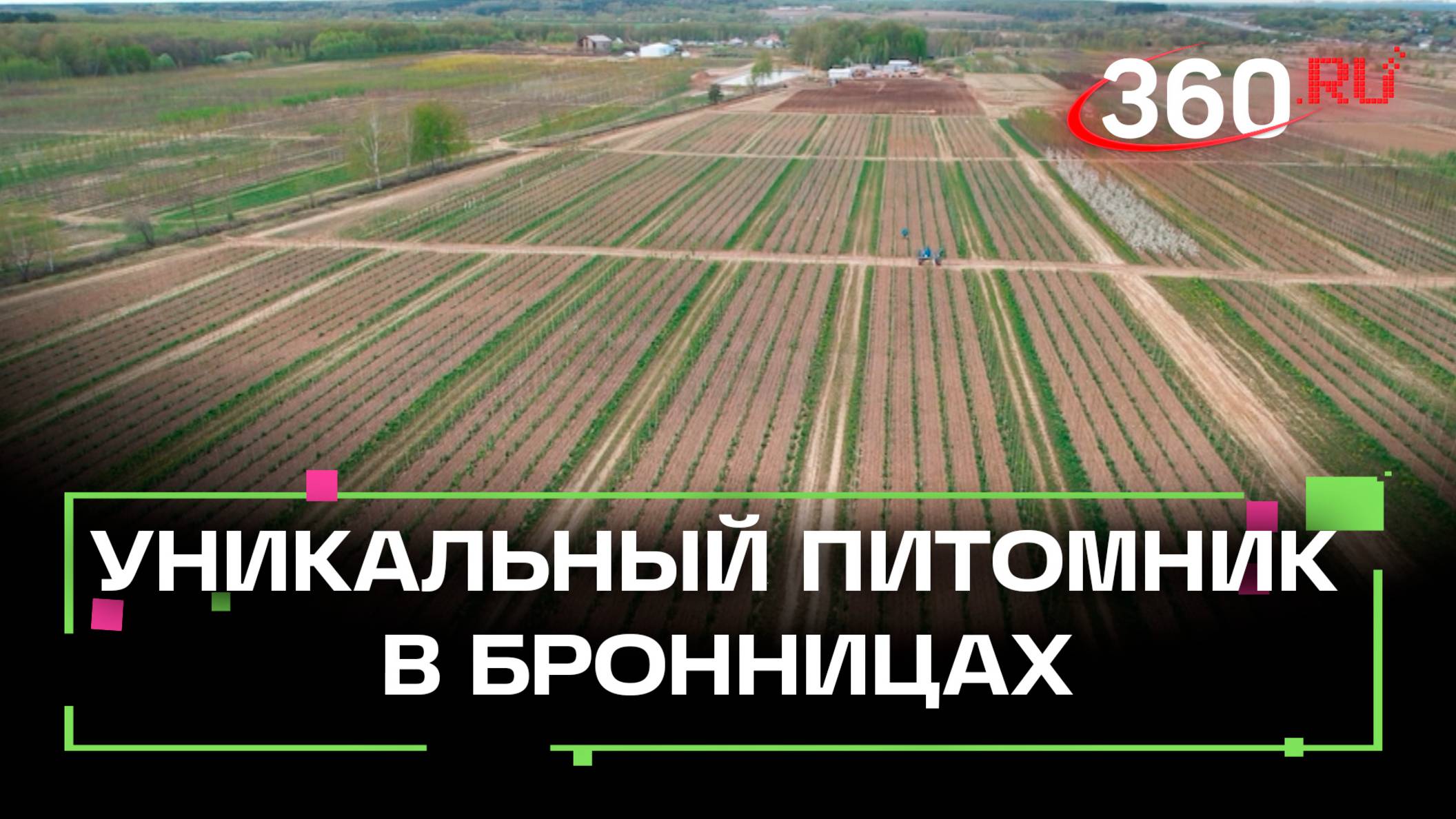 Деревья из Европы – на улицы столицы! В уникальный питомник в Бронницах вложили 50 млн рублей