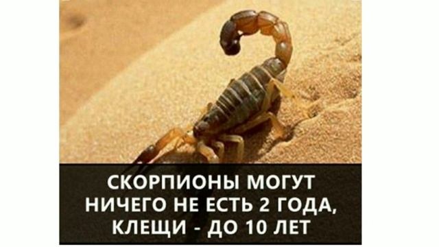 ПОЗНАВАТЕЛЬНЫЕ ФАКТЫ ЧАСТЬ 1