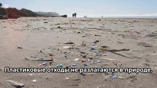 " Удивительные Тайны Океанов: Редкие Факты, Которые Ва?