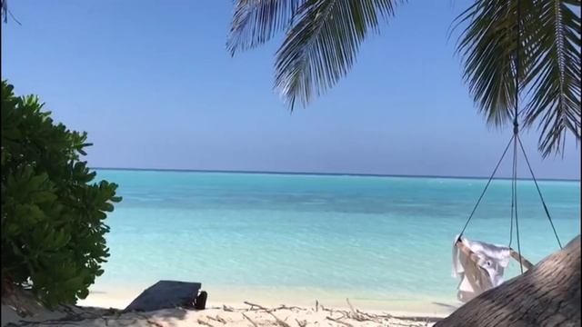 Бюджетно на Мальдивы 🇲🇻 Остров Thoddoo #travelmaldives #мальди?