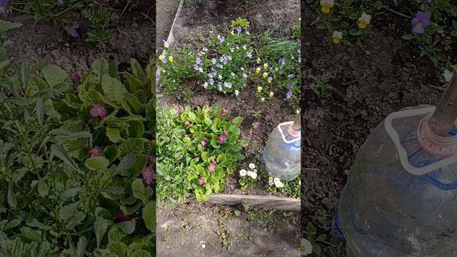 В гостях хорошо, а дома лучше 😉