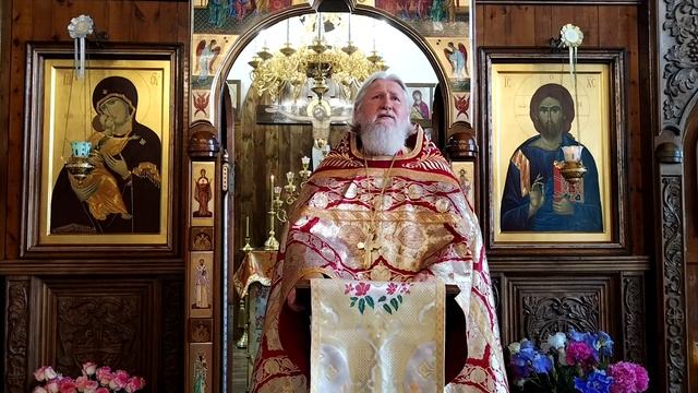 проповедь на исцеление слепорожденного (нед 6 по пасхе)