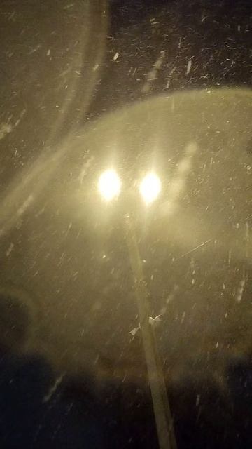 PXL_20241213_063905568