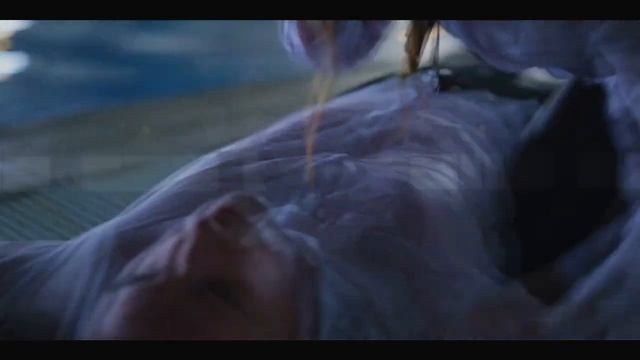 polo x cayetana l океанами стали