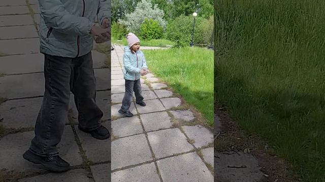 видео с уточками