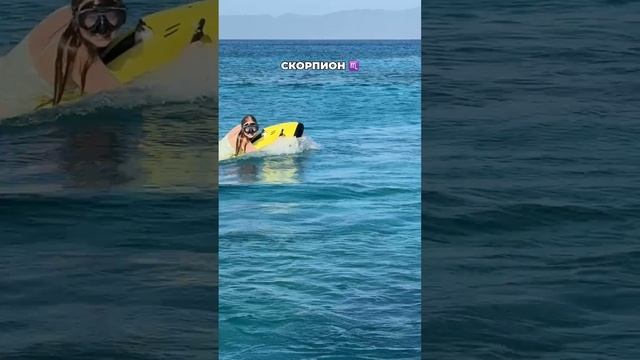 А ты кто по гороскопу? #морозовы #юмор #гороскоп
