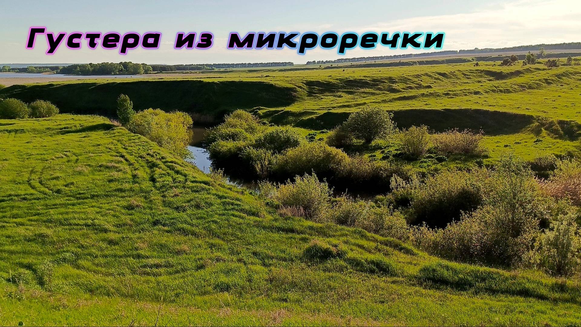 ОЖИВШИЕ БЕРЕГА. ГУСТЕРА ИЗ МИКРОРЕЧКИ