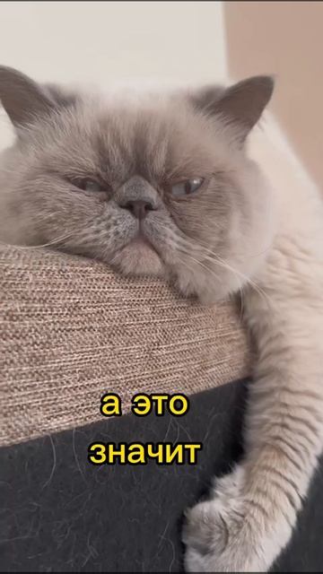 Мысли перед сном 😴