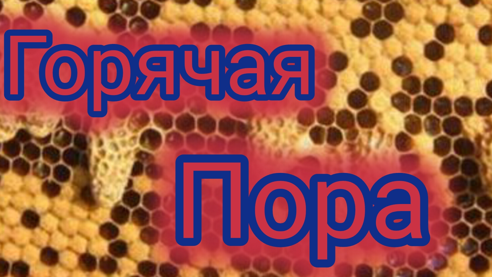 Горячая пора 🐝