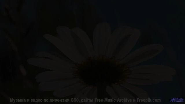 Мелодия, делающая даже дождь за окном машины романтичным - Air It Out -- Derek Clegg -- Man on the R