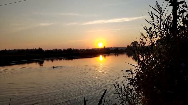 Алый рассвет