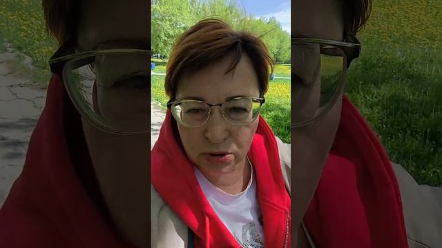 Сравнение