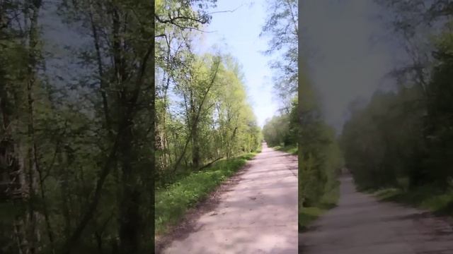 25-05-2025Араматический полумарафон 29км