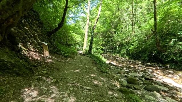 Пешком до водопада. Сочи, Лазаревское. Свирское ущелье.