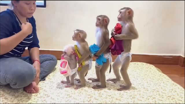 Одевать обезьянок ЛЮДЕЙ ПОСМЕШИТЬ Умные малыши
