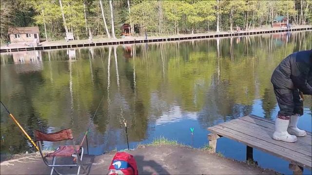 Утро на водоёмах. Клёвое место Лосиный остров.