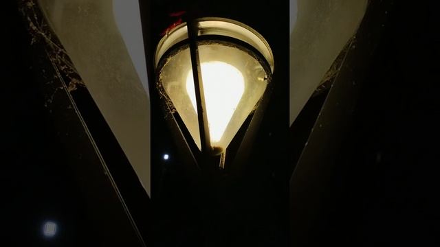 PXL_20250220_030822320