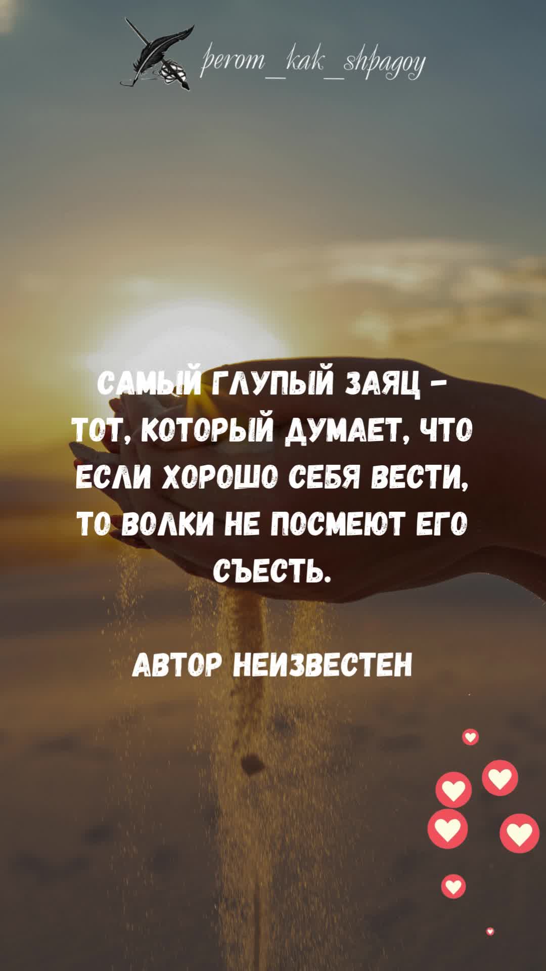 Цитаты о жизни и мудрости.