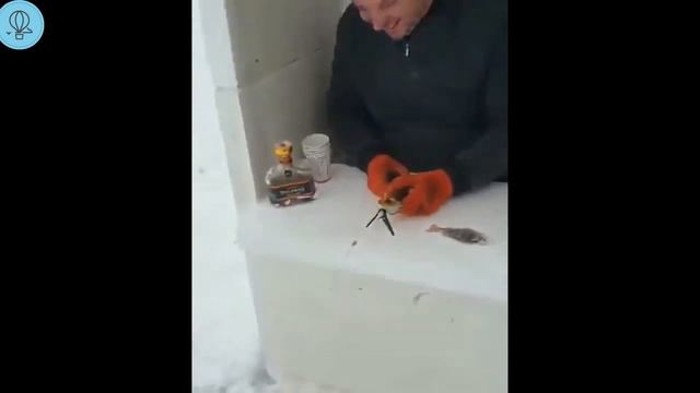 Лучшие ПРИКОЛЫ НА РЫБАЛКЕ! ЗИМНЯЯ РЫБАЛКА / ШОК РЫБАЛКА