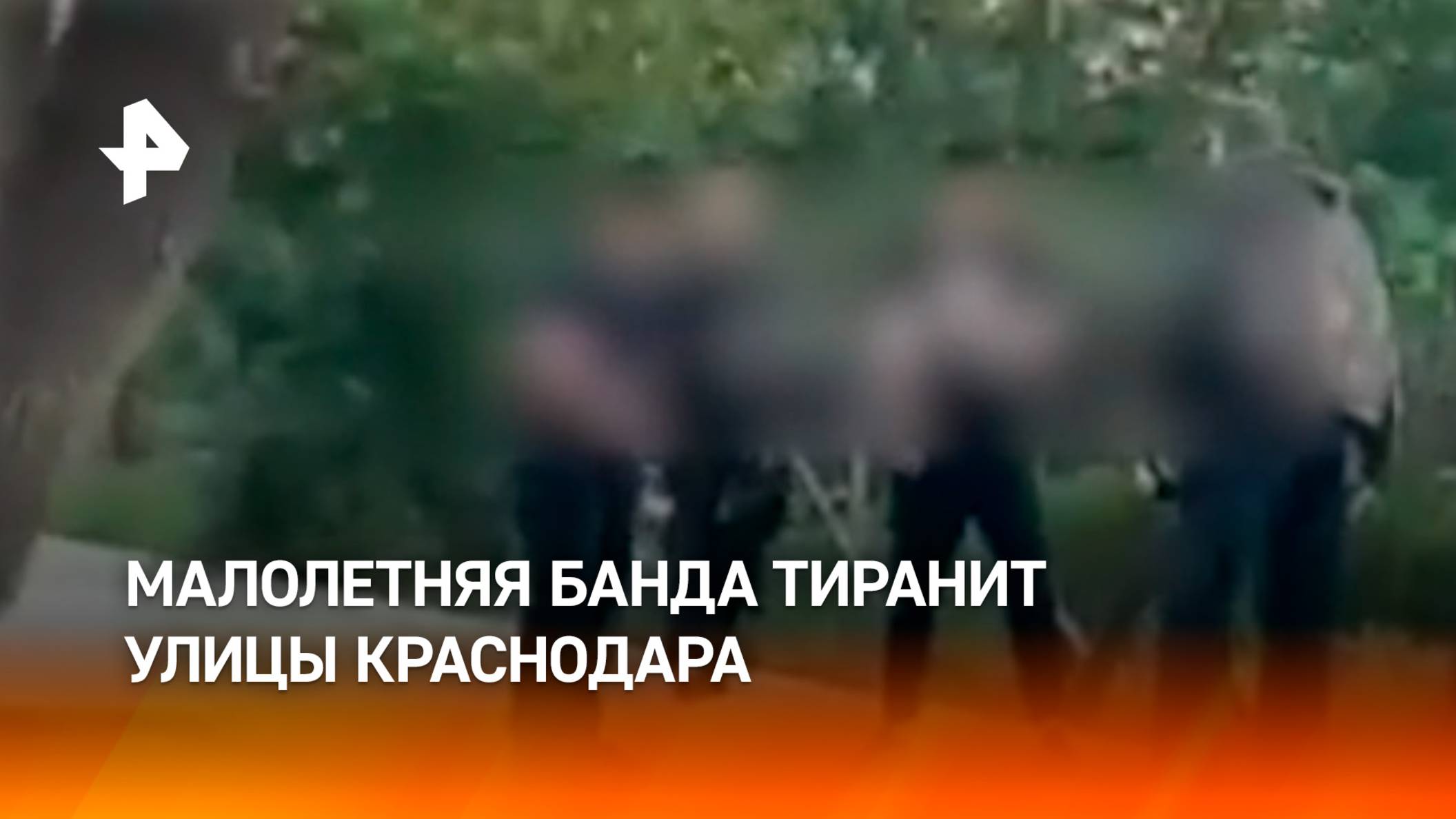 “Вы все поедете в свой аул!”: банда подростков против жителей пригорода Краснодара / РЕН
