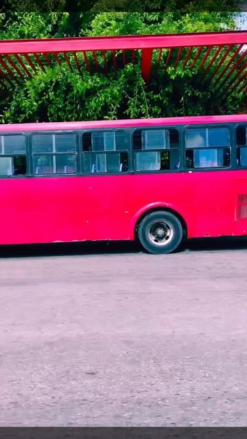 24-05-2025. Красные автобусы