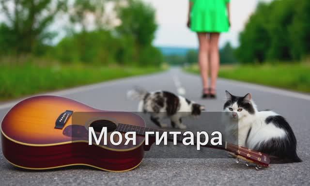 Моя гитара. Шуточно-жизненная песня...