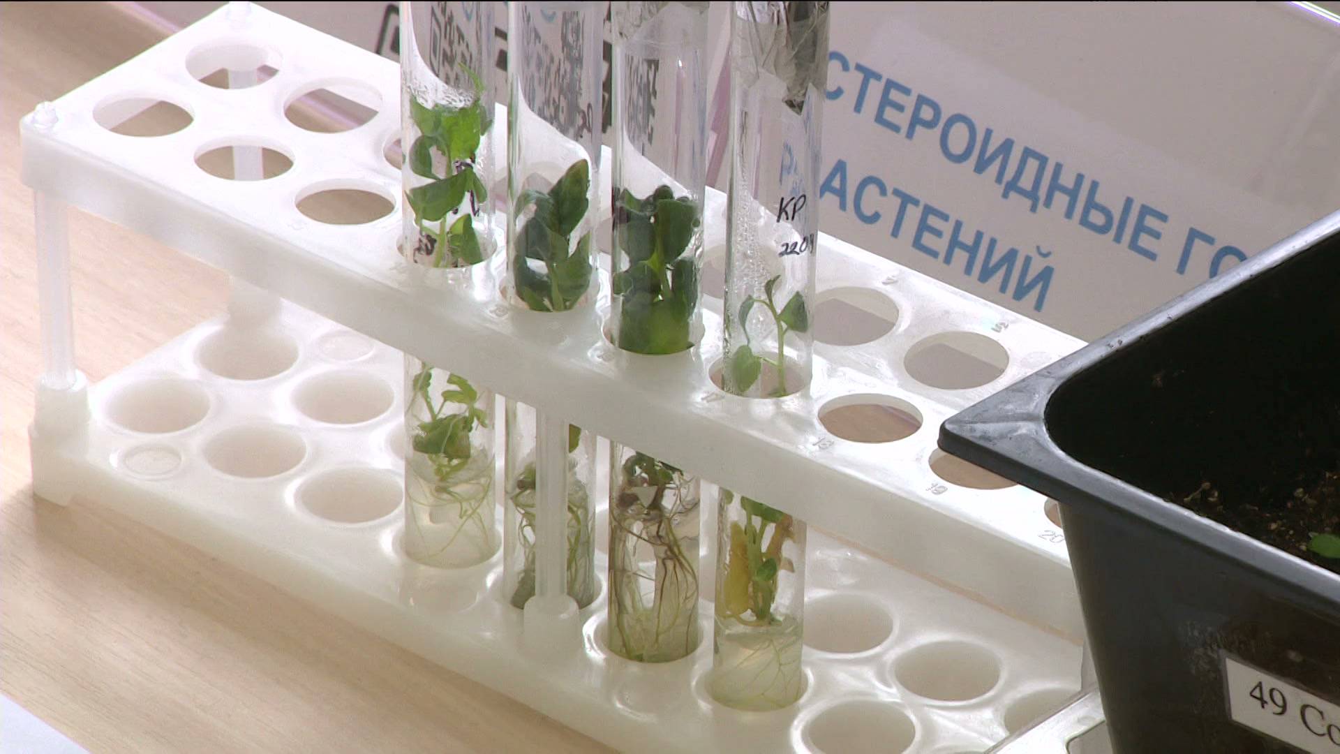 Вести-Томск, выпуск от 23.05.2025 21:10