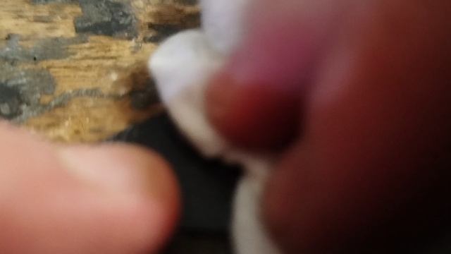 1000031049.mp4