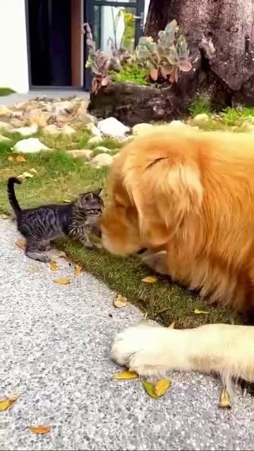VID_20250525_002137_107.mp4