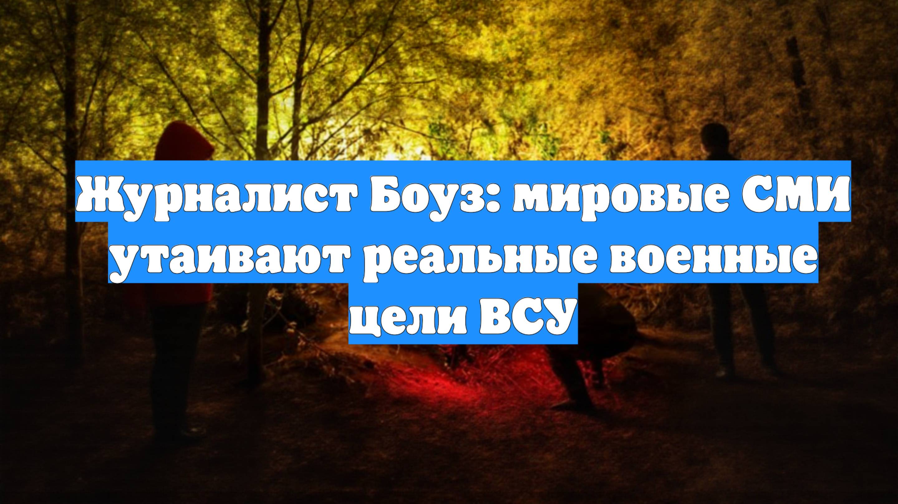 Журналист Боуз: мировые СМИ утаивают реальные военные цели ВСУ
