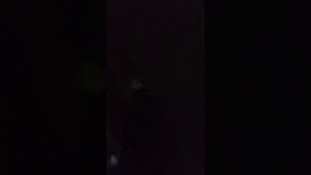 Иду домой после школы