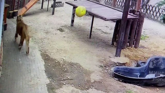 Все на обед