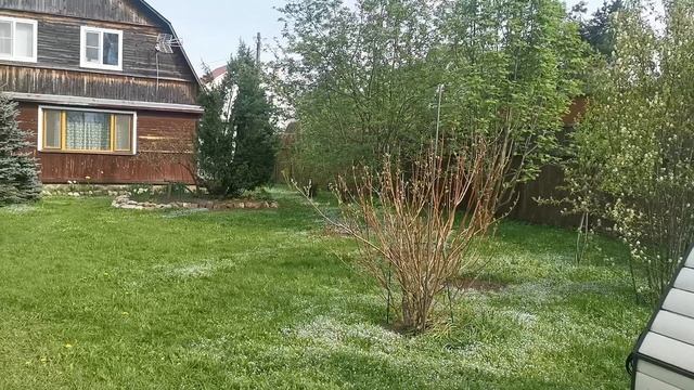 VID_20250517_165053