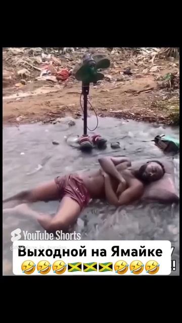 Невероятная Ямайка 🤣🇯🇲