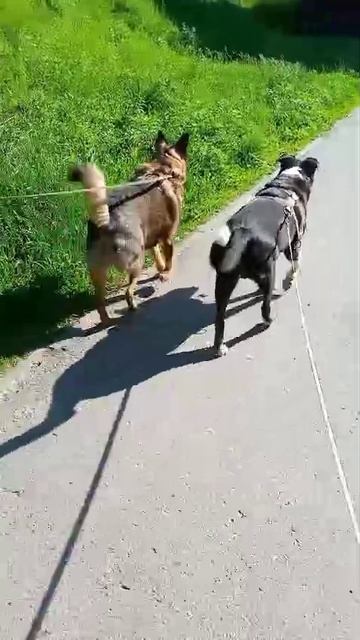 СТИФФ  с друзьями