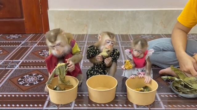 Обезьяны едят ЖАРЕНЫЕ БАНАНЫ Сами приносят Добавки просят СМЕШИЛОВКА