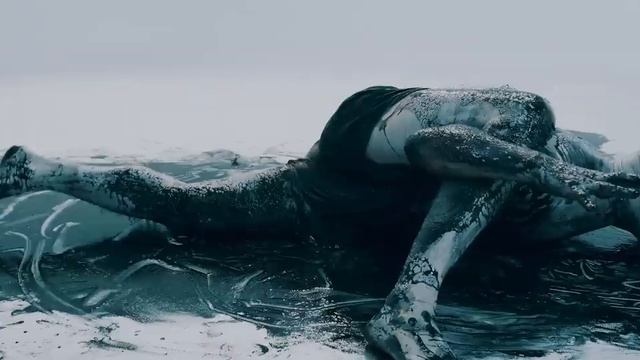 KATAKLYSM - Dark Wings of Deception (OFFICIAL MUSIC VIDEO)