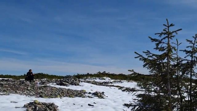 Активный отдых , гора Синяк и море смерек 🤩😍 ( ни один