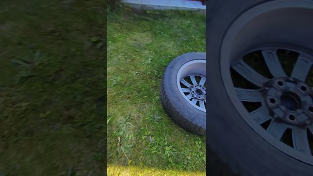 1000054401.mp4