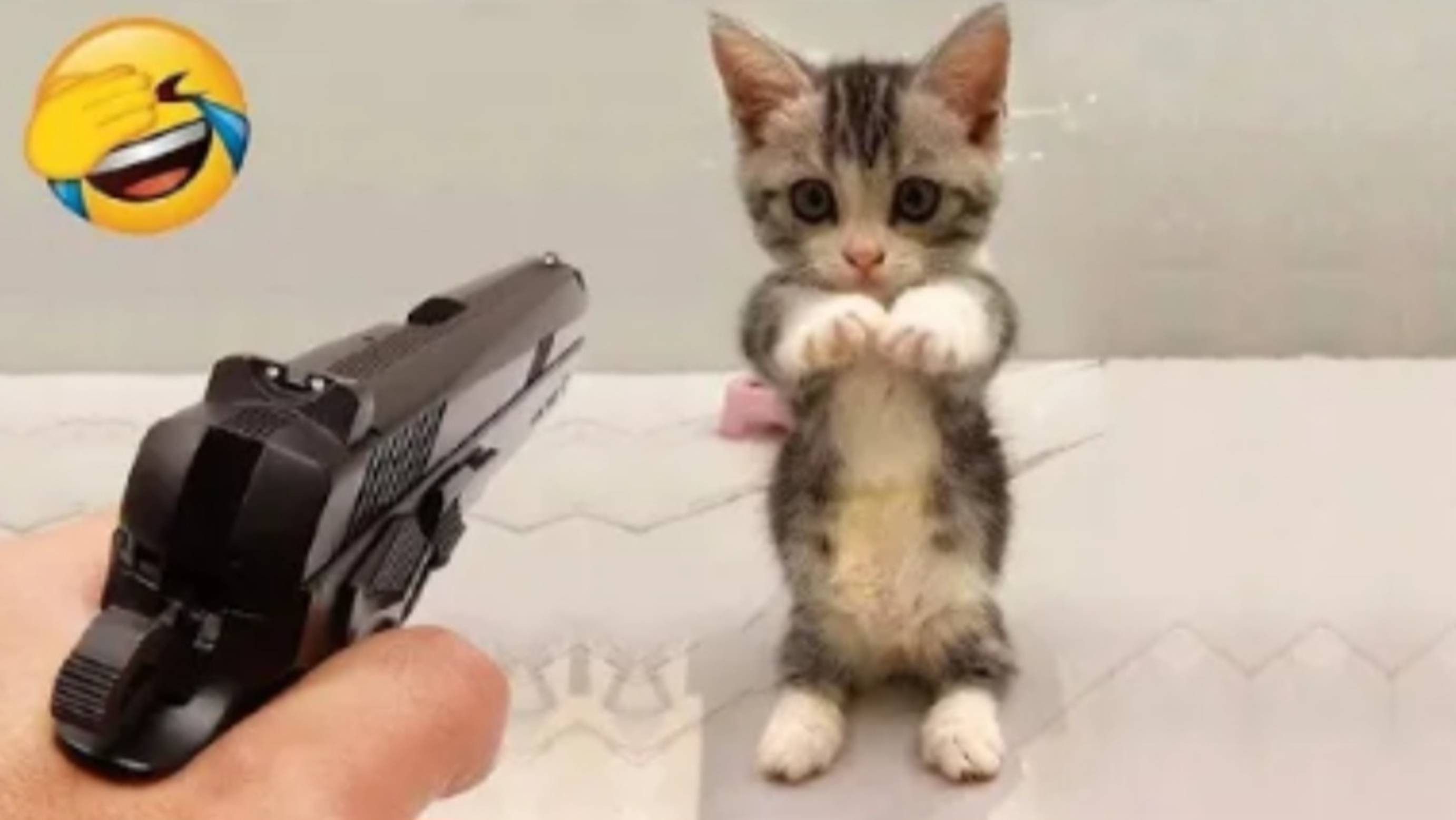 😹ПРИКОЛЫ С КОТАМИ😹 СМЕШНЫЕ КОТЫ И СОБАКИ🐶😹 СМЕШНОЕ ВИДЕО С ЖИВОТНЫМИ, ЮМОР #13