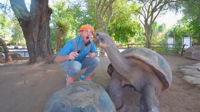 Блиппи (Blippi) - Путешествие на Поезде🚂   Обучающие песни для детей   Blippi Russian