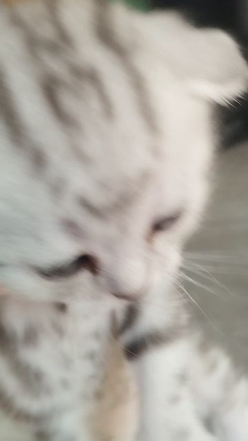 1000099038.mp4