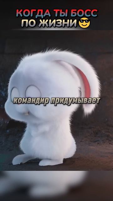 Какой строгий босс.