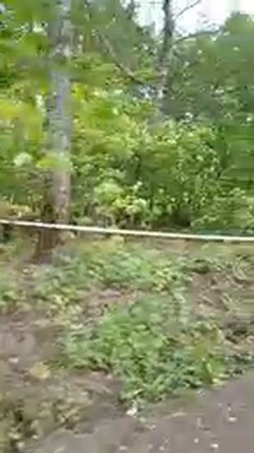 VID_20250524_133631.mp4