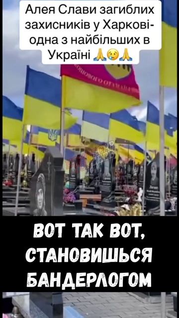 Исход стабилен